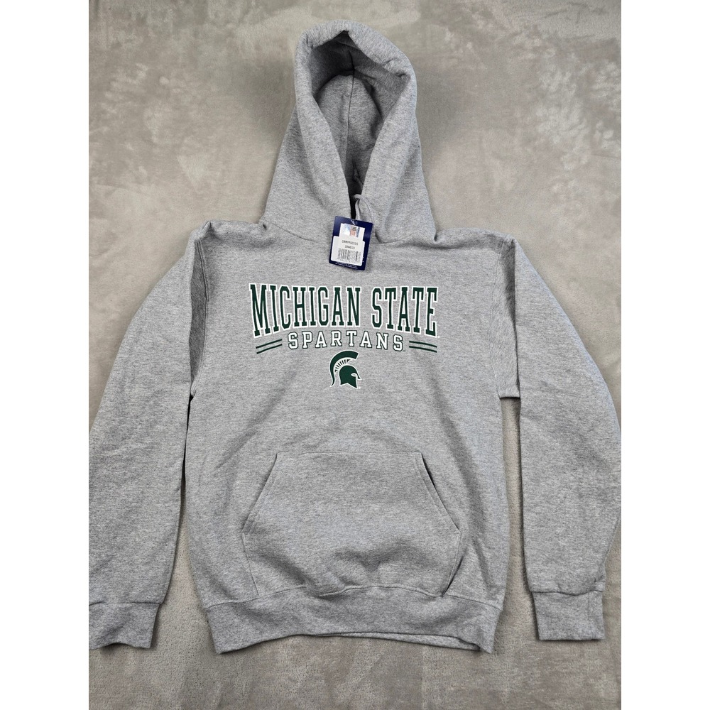Champion Michigan State Spartans Hoodie Mens Small Gray NCAA Pullover Sweatshirt
